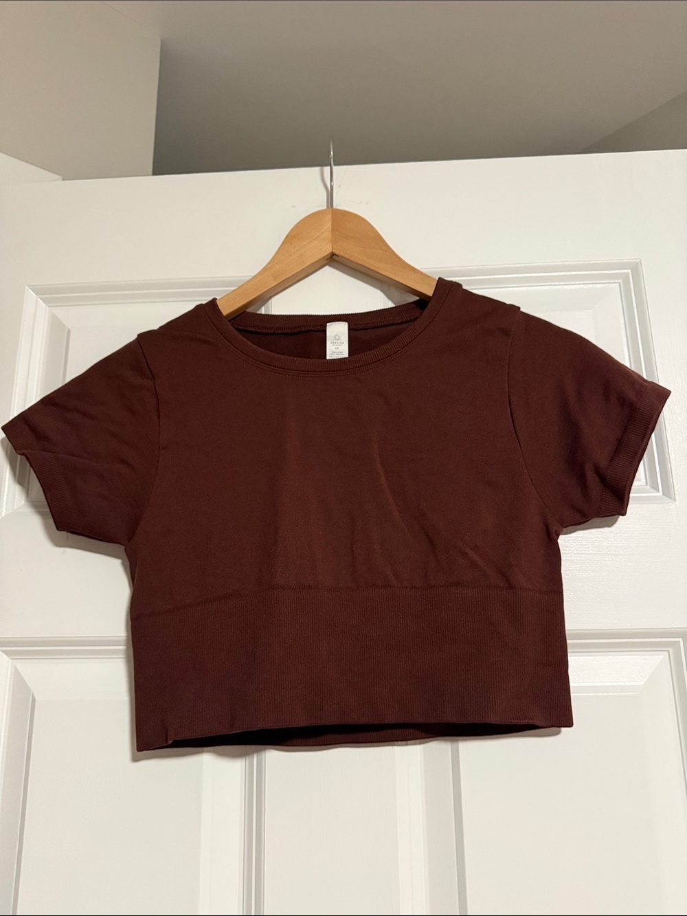 aerie Short Sleeve Cropped Top in Deep Brown